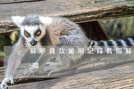 蘇寧貸款逾期記錄截圖(蘇寧貸款逾期記錄截圖)