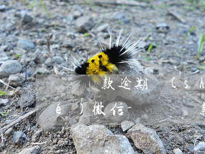 蘇寧貸款逾期說(shuō)要凍結(jié)微信-蘇寧貸款為什么凍結(jié)了