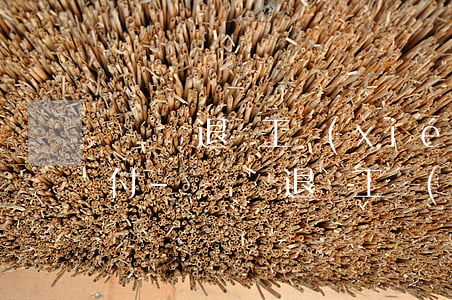 蘇寧辭退員工協(xié)議賠償金逾期不付-蘇寧辭退員工協(xié)議賠償金逾期不付怎么辦