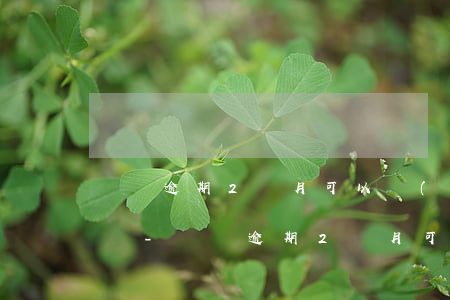 蘇寧逾期2個月可以協(xié)商還本金嗎-蘇寧逾期2個月可以協(xié)商還本金嗎
