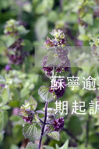 蘇寧逾期一千塊會(huì)起訴嗎（蘇寧逾期起訴真的嗎）