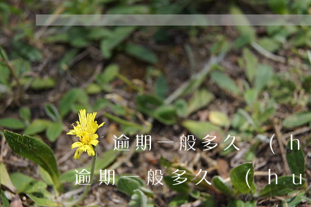 蘇寧逾期一般多久會(huì)被起訴(蘇寧逾期一般多久會(huì)被起訴)
