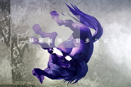 蘇寧逾期一般多久起訴