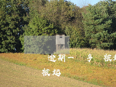 蘇寧逾期一萬多會被起訴嗎 蘇寧逾期一萬多會被起訴嗎