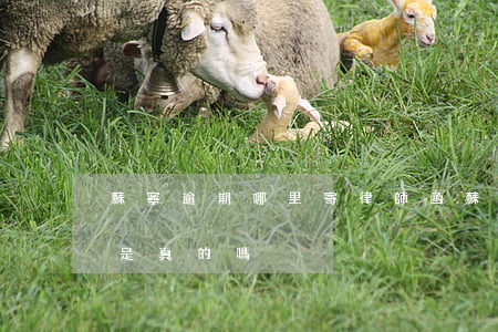 蘇寧逾期哪里寄律師函(蘇寧金融寄的律師函是真的嗎)