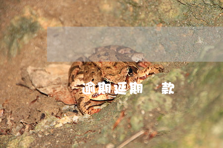 蘇寧逾期延期還款(蘇寧還款后顯示逾期)