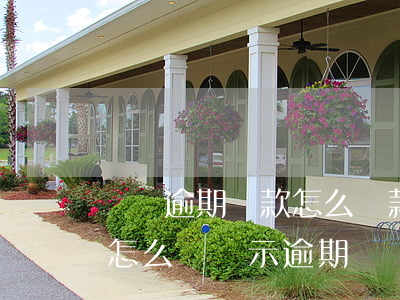 蘇寧逾期還款怎么還款(蘇寧金融對公還款了怎么還顯示逾期)