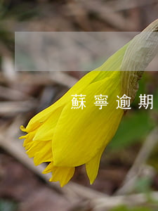蘇寧逾期金額多少會起訴 蘇寧逾期會起訴嗎