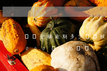 蘇寧金服逾期多少錢會被起訴(蘇寧金融欠3000會被起訴嗎)