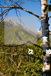蘇寧金條逾期多久會被起訴(京東金條逾期多久會被起訴,真的會上門嗎?)