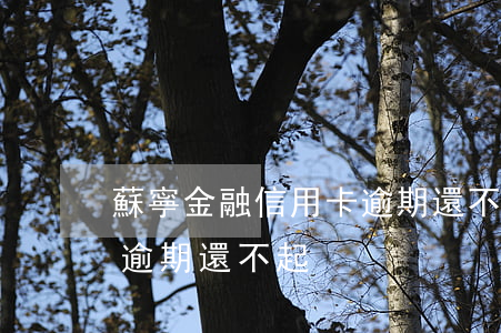 蘇寧金融信用卡逾期還不起(蘇寧金融信用卡逾期還不起)