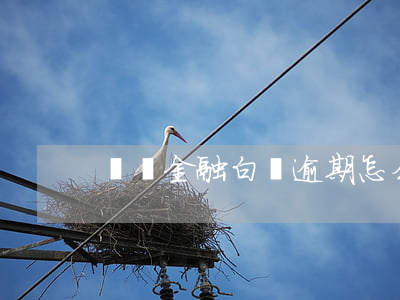 蘇寧金融白條逾期怎么還
