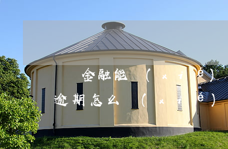 蘇寧金融能協(xié)商還款嗎（蘇寧金融逾期怎么協(xié)商還款）