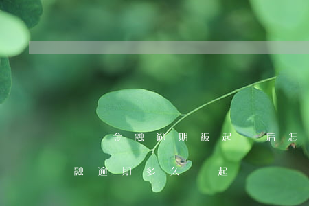 蘇寧金融逾期被起訴后怎么辦-蘇寧消費金融逾期多久會起訴