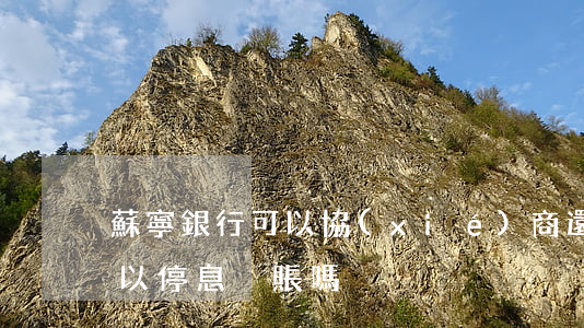 蘇寧銀行可以協(xié)商還款嗎（蘇寧可以停息掛賬嗎）