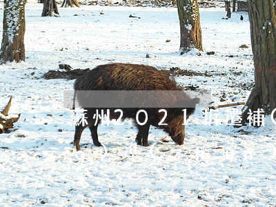 蘇州2021拆遷補(bǔ)償標(biāo)準(zhǔn)明細(xì)(蘇州相城區(qū)2021征地拆遷通告)