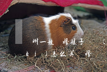 蘇州一般離婚孩子撫養(yǎng)費(fèi)怎么算(離婚撫養(yǎng)孩子費(fèi)用多少)