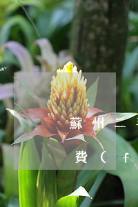 蘇州二手房交易流程(蘇州二手房交易流程及費(fèi)用2019年)
