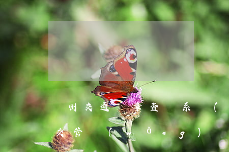 蘇州交通違章查詢系統(tǒng)(蘇州市交管網(wǎng)違章查詢)