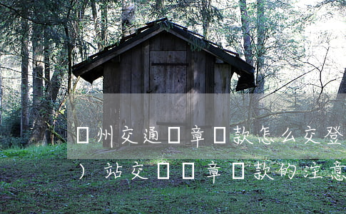 蘇州交通違章罰款怎么交（登錄網(wǎng)站交納違章罰款的注意事項(xiàng)）