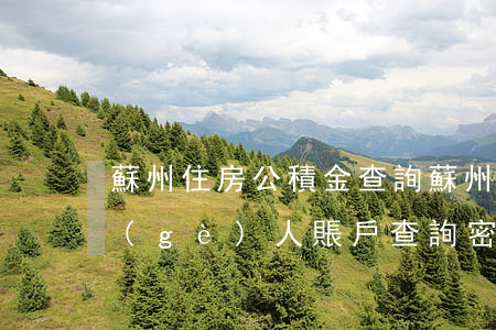 蘇州住房公積金查詢(蘇州住房公積金查詢個(gè)人賬戶查詢密碼)