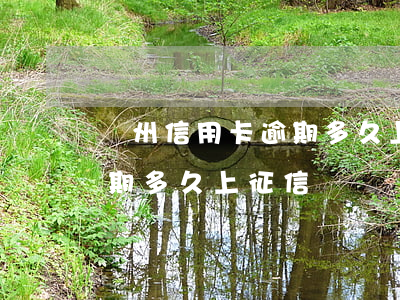 蘇州信用卡逾期多久上征信(各銀行信用卡逾期多久上征信)