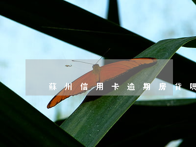 蘇州信用卡逾期房貸嗎