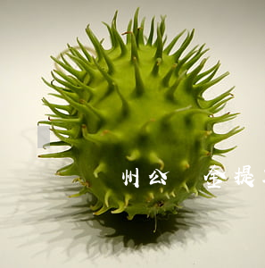 蘇州公積金提取(蘇州公積金提取方法)