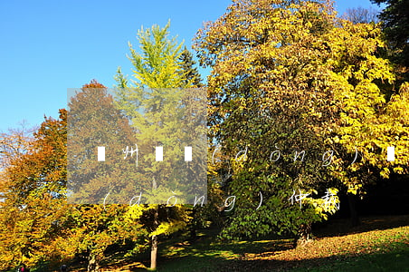 蘇州勞動(dòng)糾紛怎么辦(蘇州勞動(dòng)仲裁)