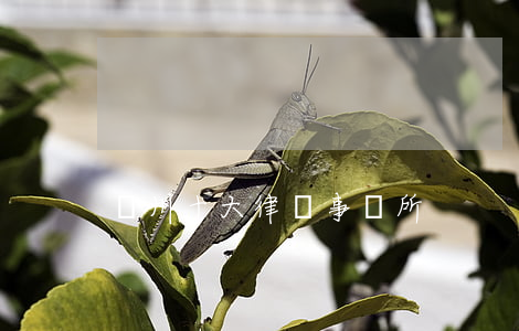 蘇州十大律師事務所