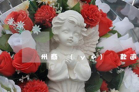 蘇州商業(yè)貸款逾期未交
