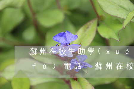 蘇州在校生助學(xué)貸款逾期恢復(fù)電話-蘇州在校生助學(xué)貸款逾期恢復(fù)電話查詢