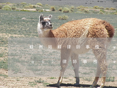 蘇州姑蘇律師事務(wù)所地址(姑蘇區(qū)律師事務(wù)所)