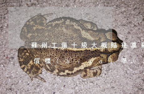 蘇州工傷十級大概賠幾萬(蘇州10級工傷賠償標(biāo)準(zhǔn)一覽表)