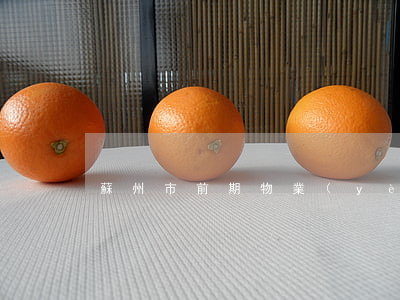蘇州市前期物業(yè)管理委托合同