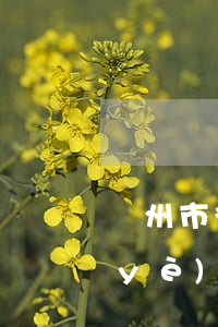 蘇州市律師事務(wù)所地址(蘇州工業(yè)園區(qū)律師事務(wù)所在哪里)