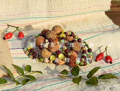 蘇州市處理債務(wù)糾紛律師多少錢(蘇州市處理債務(wù)糾紛律師多少錢)