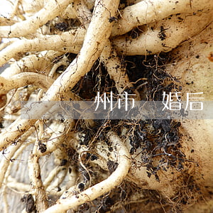 蘇州市離婚后買(mǎi)房首付多少