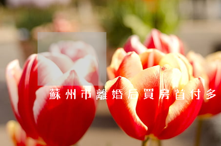 蘇州市離婚后買房首付多少
