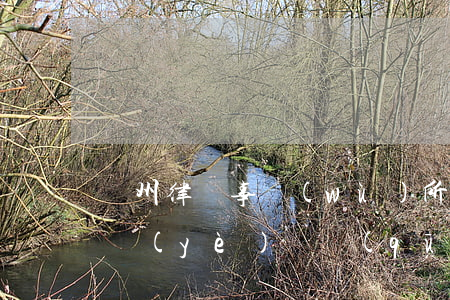 蘇州律師事務(wù)所地址在哪里(蘇州工業(yè)園區(qū)律師事務(wù)所在哪里)