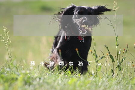 蘇州律師事務(wù)所離婚