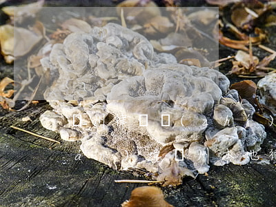 蘇州律師執(zhí)業(yè)環(huán)境(蘇州本地律師)