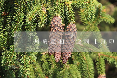 蘇州房屋租賃合同【打印】