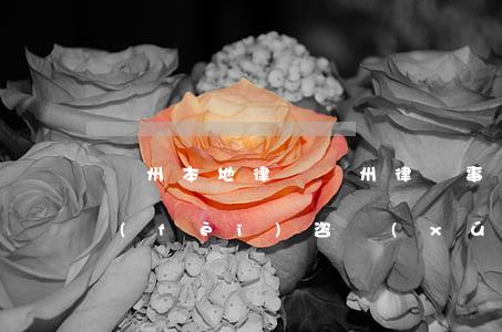蘇州本地律師(蘇州律師事務(wù)所免費(fèi)咨詢(xún))