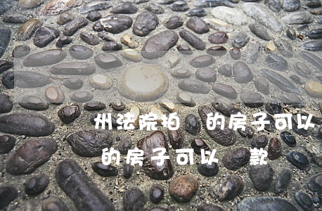 蘇州法院拍賣的房子可以貸款嗎(蘇州法院拍賣的房子可以貸款嗎)