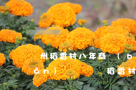 蘇州稻香村八年商標(biāo)戰(zhàn)終審敗訴：“稻香村集團(tuán)”商標(biāo)被判無效