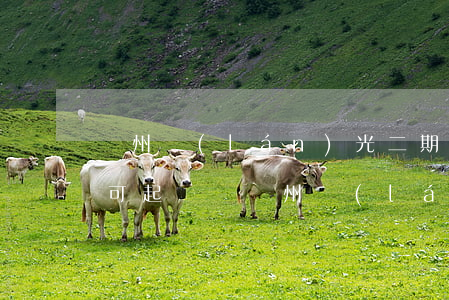 蘇州藍(lán)光二期債務(wù)逾期可起訴嗎(蘇州藍(lán)光二期債務(wù)逾期可起訴嗎)