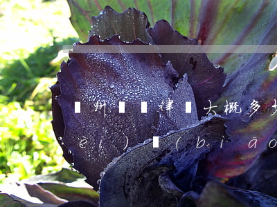 蘇州請個律師大概多少錢(蘇州律師收費(fèi)標(biāo)準(zhǔn))
