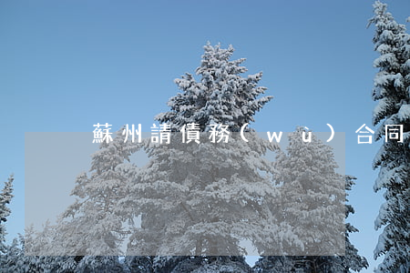 蘇州請債務(wù)合同律師