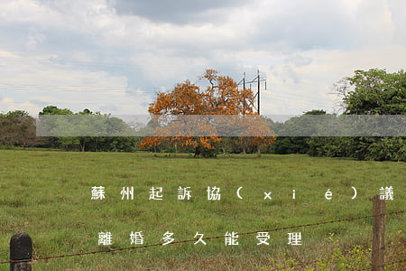 蘇州起訴協(xié)議離婚最快多久(起訴離婚多久能受理)